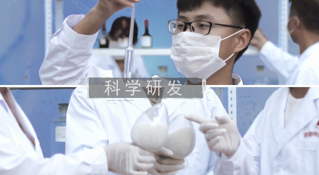復合肥-復合肥生產廠家-高塔復合肥-大量元素水溶肥-微生物菌肥生產廠家-安陽中盛肥業科技有限責任公司